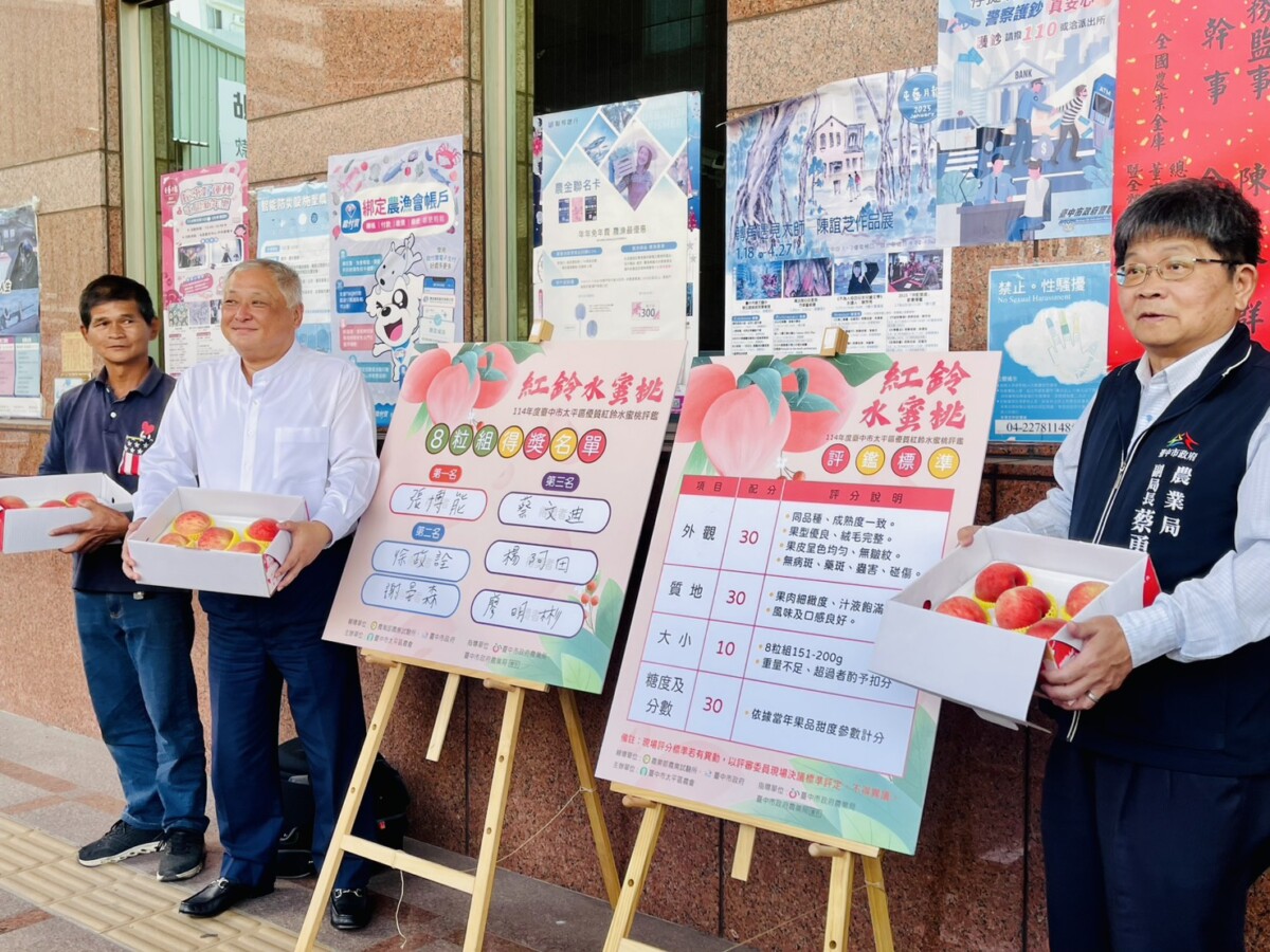 ▲台中太平區優質水蜜桃評鑑 農友張博能勇奪平地水蜜桃達人。(圖/記者顏淑娟攝)