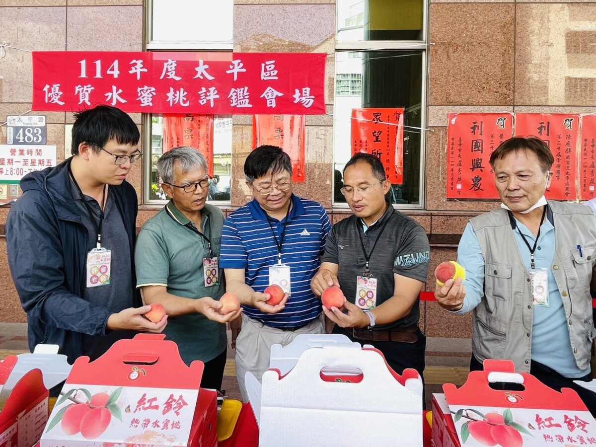 ▲評審就果品外觀、質地風味及糖度等項目進行評分。(圖/記者顏淑娟攝)