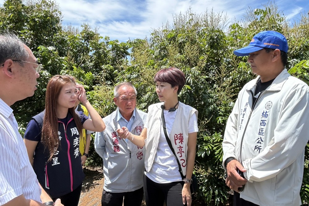 氣候異常致龍眼、荔枝嚴重災損 陳亭妃籲區公所應主動受理農民通報 196 氣候異常致龍眼、荔枝嚴重災損 陳亭妃籲區公所應主動受理農民通報 195