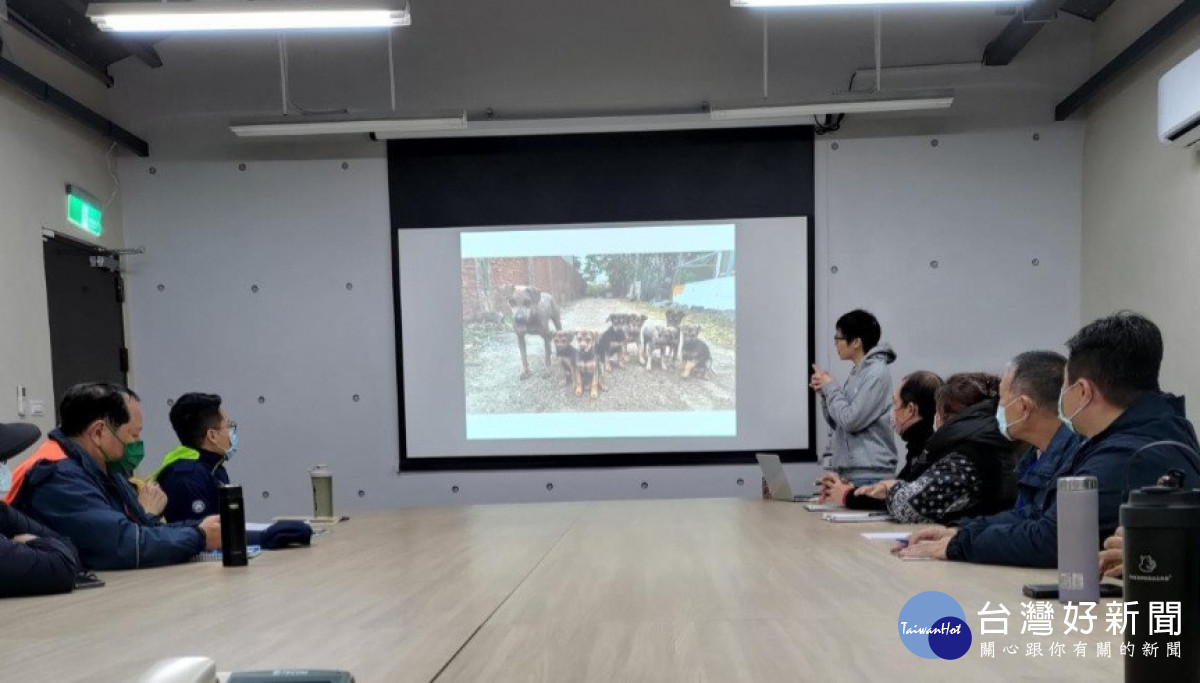 桃園市政府守護市民安全、維護市容持續積極把關掃蕩遊蕩犬。
