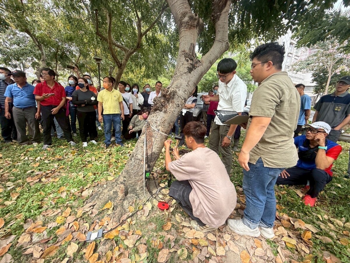 台中辦樹木修剪回訓課程　推動友善綠化專業化