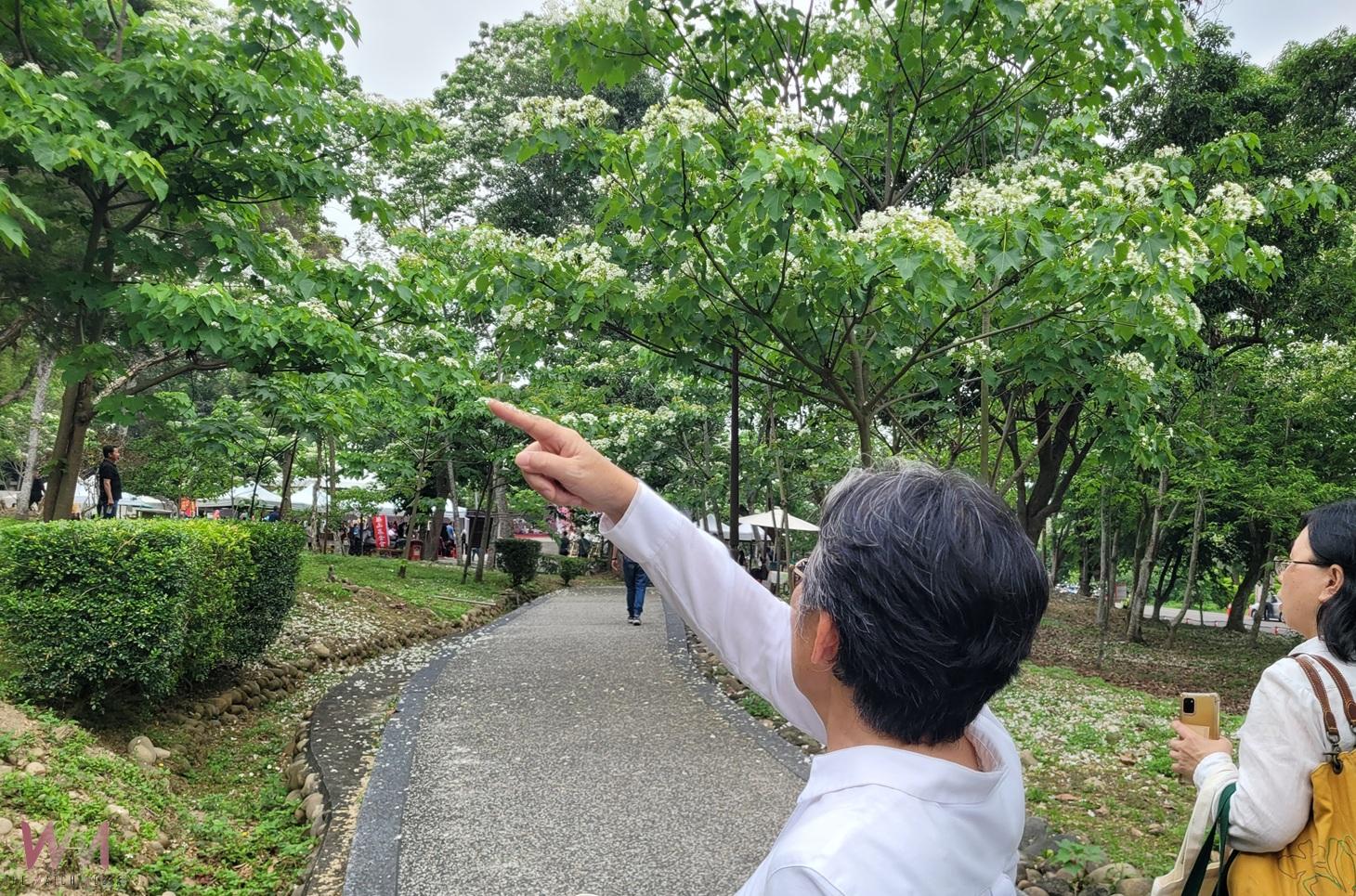 浪漫四月雪!2025古坑桐花祭登場 桐花與咖啡共舞打造春日詩篇 - https://www.watchmedia01.com