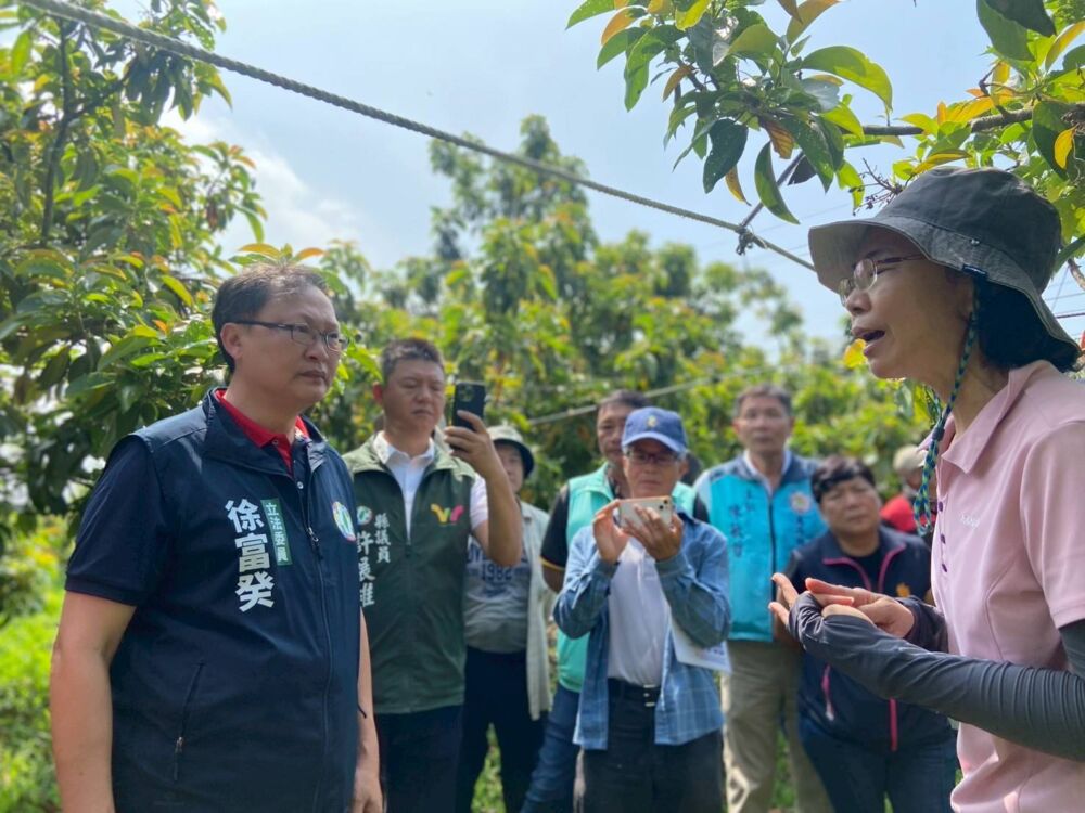 萬丹加林1號酪梨受寒害重創 徐富癸、許展維親勘爭取現金救助 242 萬丹加林1號酪梨受寒害重創 徐富癸、許展維親勘爭取現金救助 241