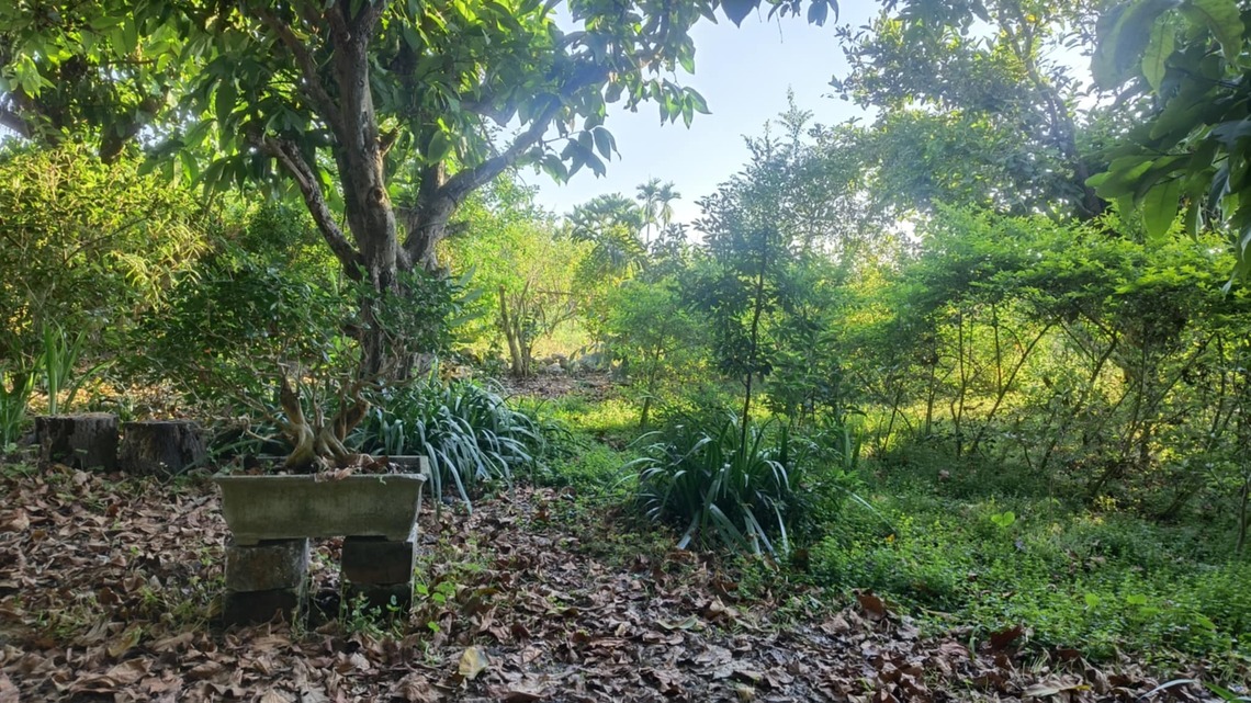 如果有農田 何不讓廚餘埋土裡化為有機肥