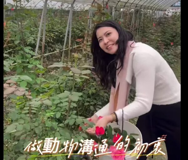從大學畢業之後做寵物溝通到現在。 溝通過上萬隻寵物,除了最基本的貓狗之外,其他動物有鸚鵡、鬥魚、紅龍魚、烏龜、雪貂、蜜袋鼯、綠繡眼、蛇、變色龍….等等,未來想要積極推廣愛護動物、平衡家長和毛小孩生活的理念,以及該如何和寵物溝通的方法。圖/Iris粉專