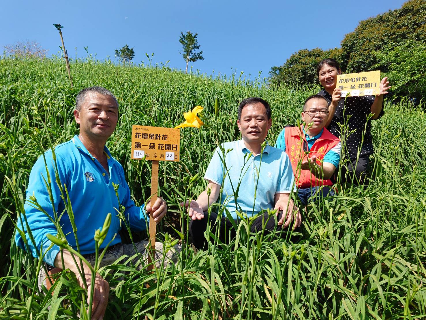 虎山巖金針花季起跑!首日綻放「三姐妹」 預告5月迎花海盛景 - https://www.watchmedia01.com