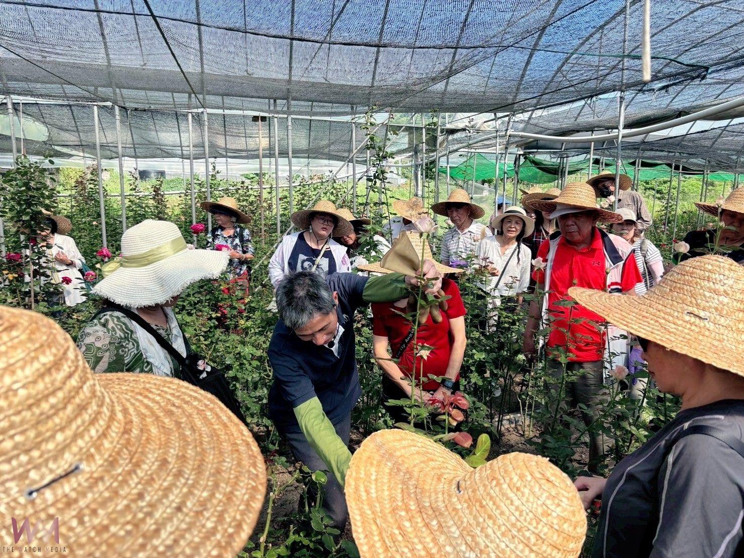 螢光點亮農村魅力!主題遊程首發團回響熱烈 助推永續農業旅遊 - https://www.watchmedia01.com
