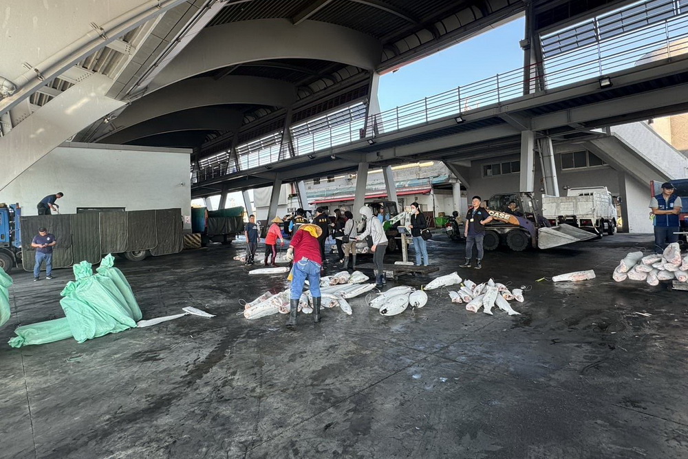 捕海豚當餌獵鯊魚　遠洋漁船船長交保 211
