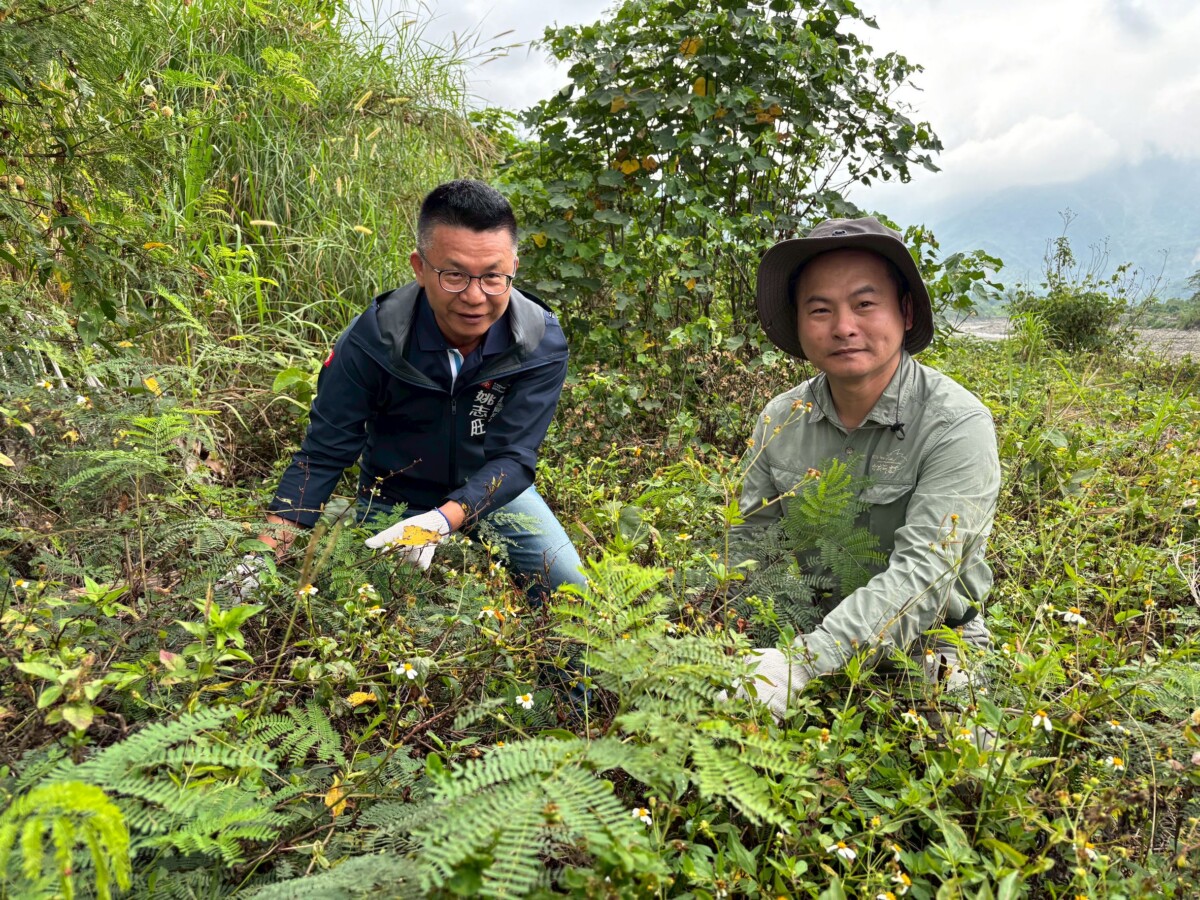▲高雄市政府農業局長姚志旺(左)與國立嘉義大學張坤城副教授(右)一起移除外來種植物,守護高雄溼地環境。
