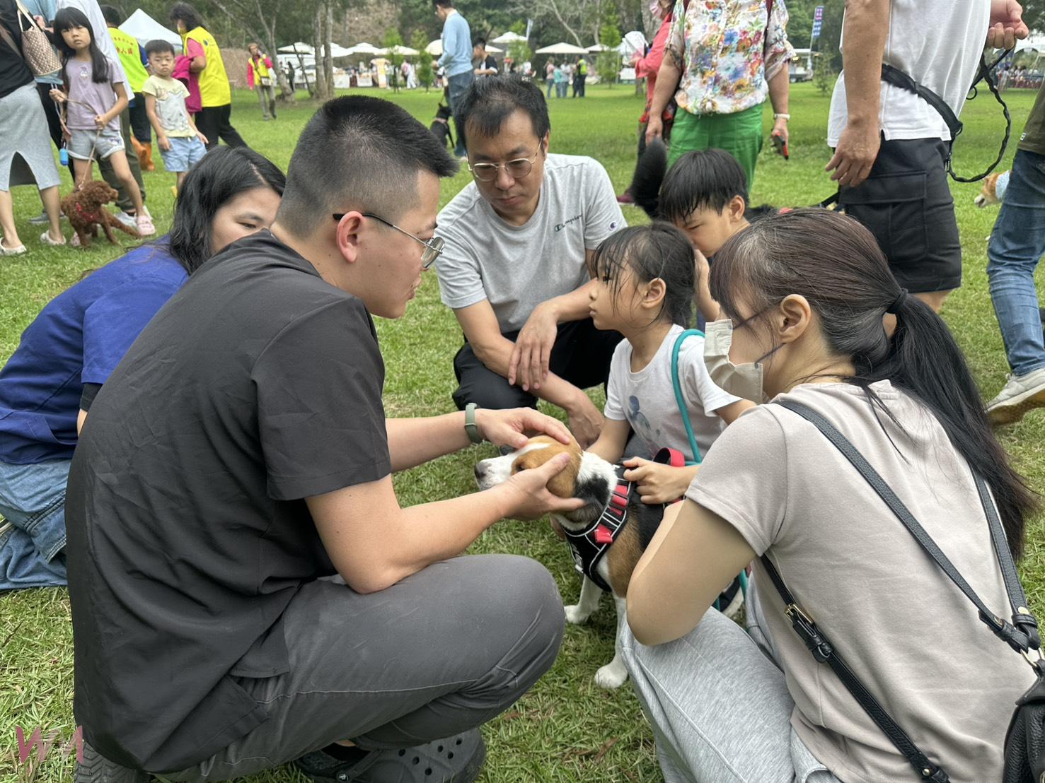 (有影片)/從寵物嘉年華看見城市變遷 彰化「2025寵物嘉年華」萌寵齊聚 - https://www.watchmedia01.com