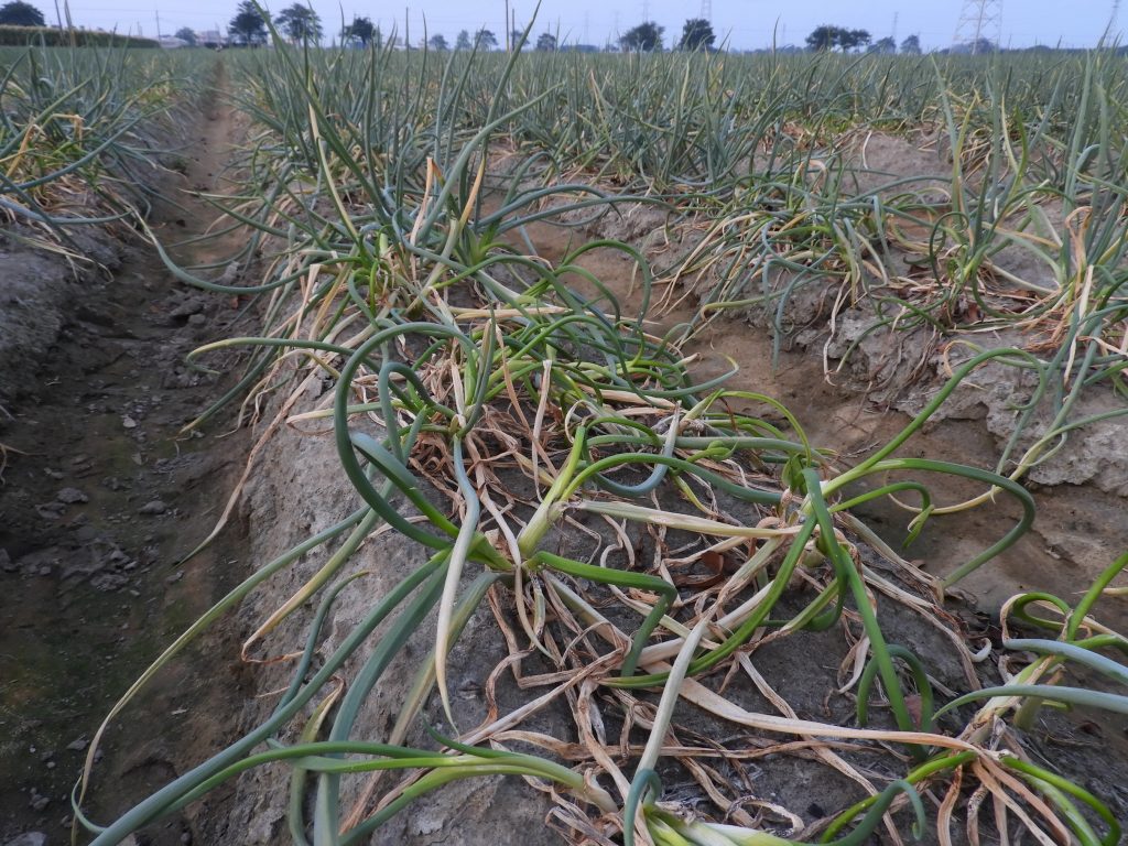 Babaf3f3b2f70ae291b5509abedf9359