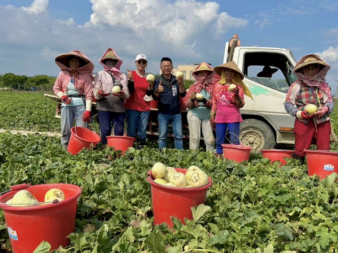 ▲農業局局長姚志旺親自到場關心採收情形