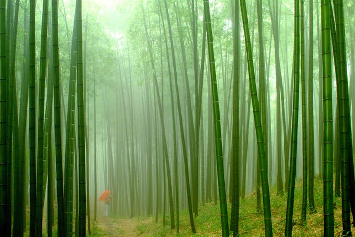 走進美麗中華涼都 夏季避暑勝地推薦