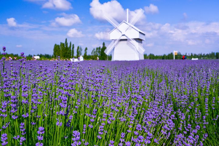 走進美麗中華涼都 夏季避暑勝地推薦