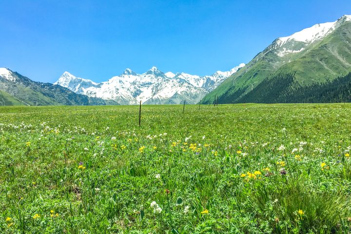 走進美麗中華涼都 夏季避暑勝地推薦
