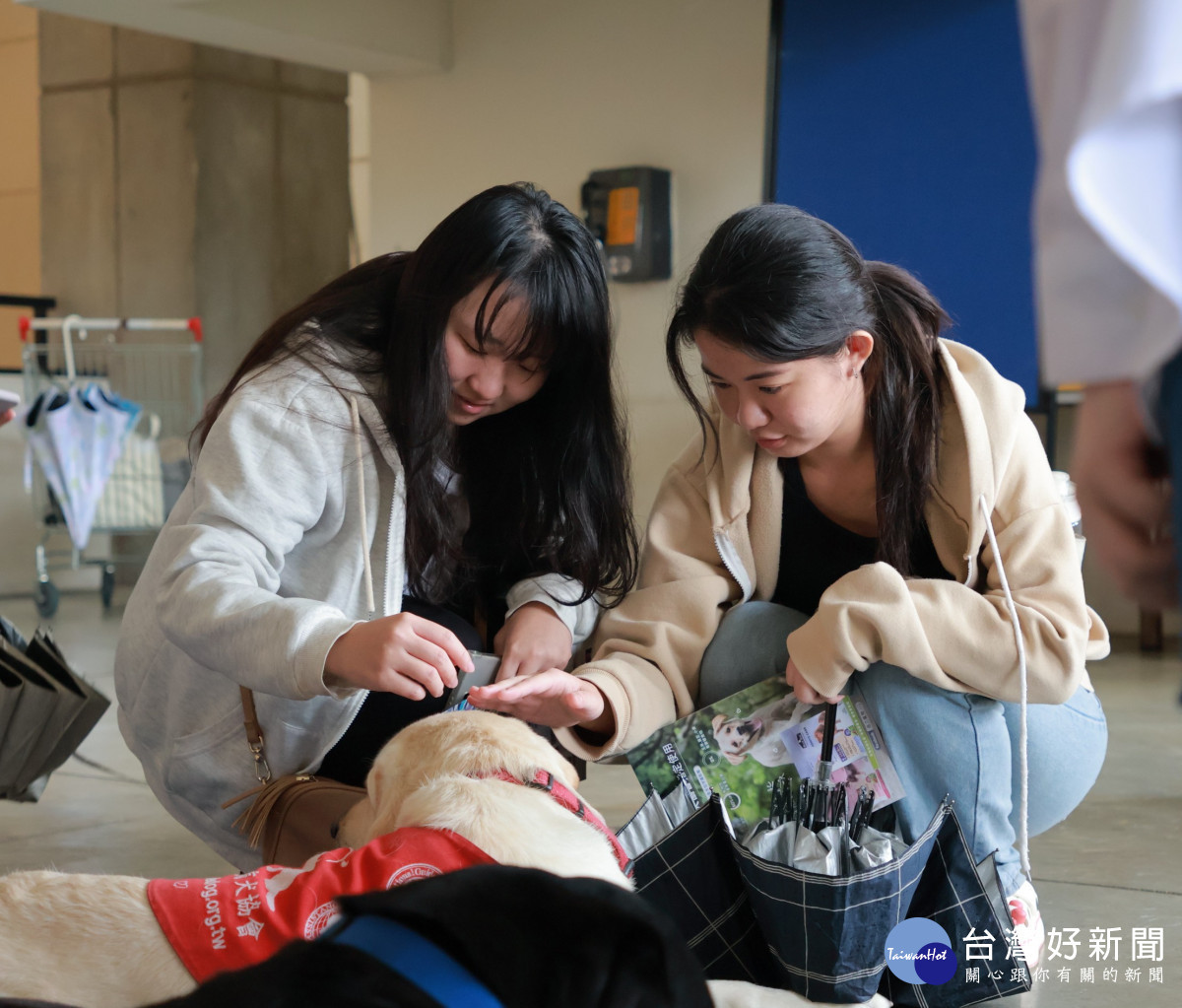 同學與導盲犬互動,感受導盲犬溫柔穩定的陪伴力量
