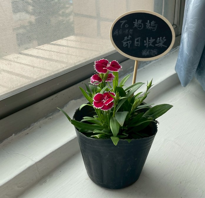 北榮桃園分院護理之家舉辦母親節活動 促進長輩社會參與 42