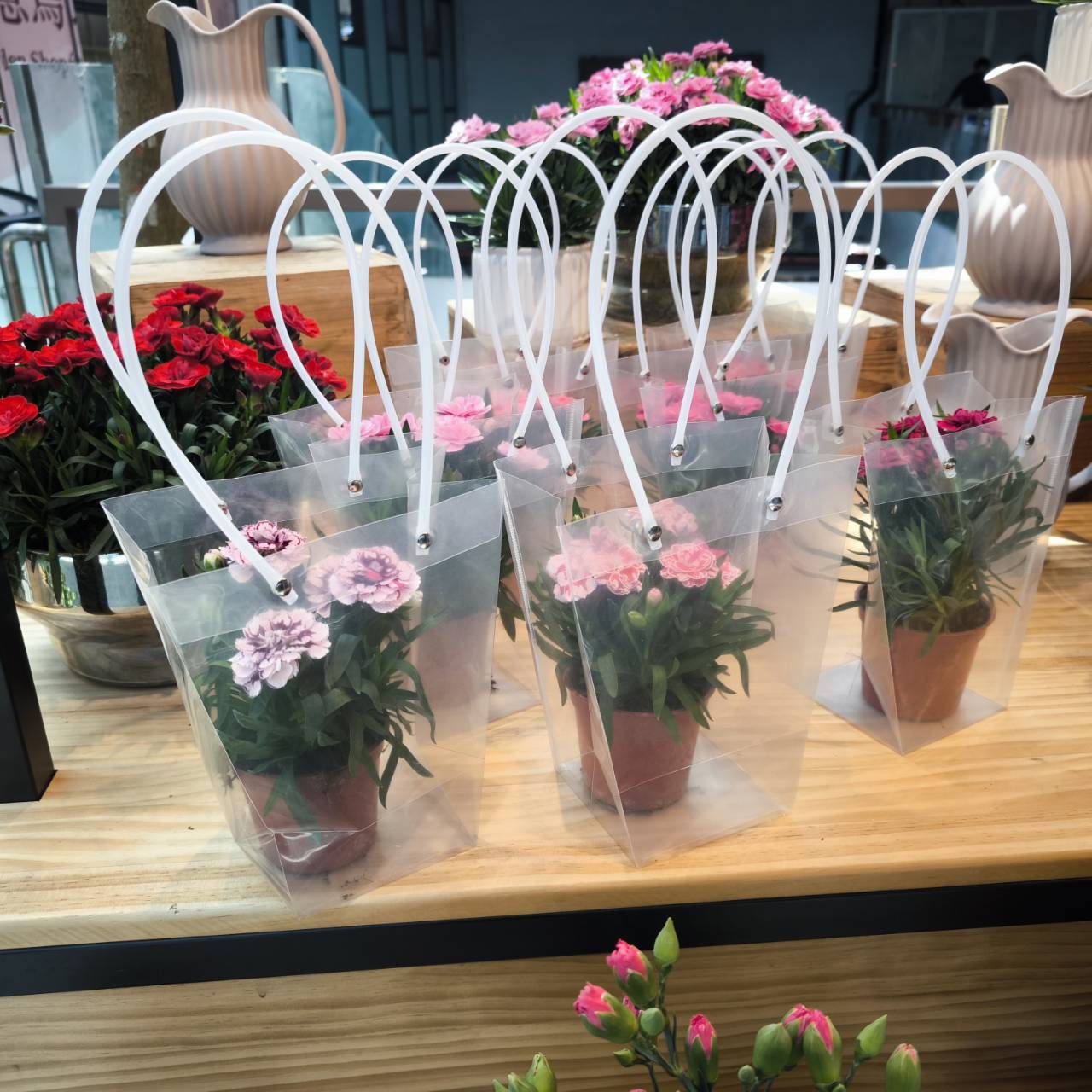 ▲加入臺北捷運Go App會員,可免費獲得康乃馨盆花。