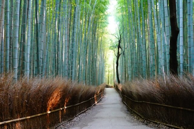 京都一日遊景點推薦 TOP 6