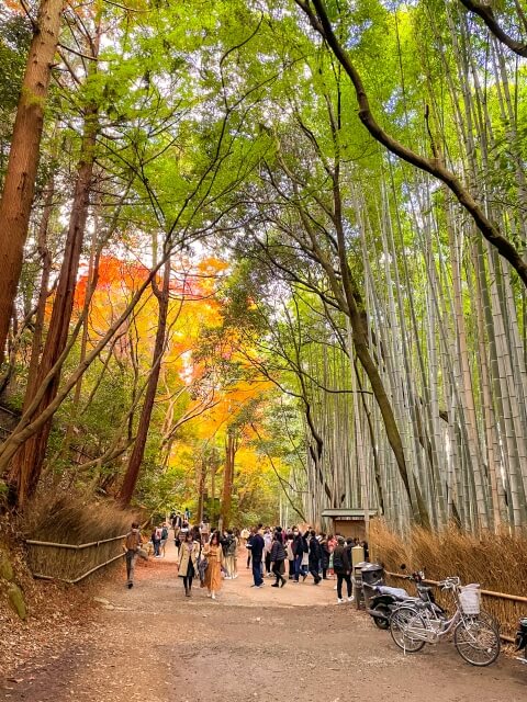 京都一日遊景點推薦 TOP 6