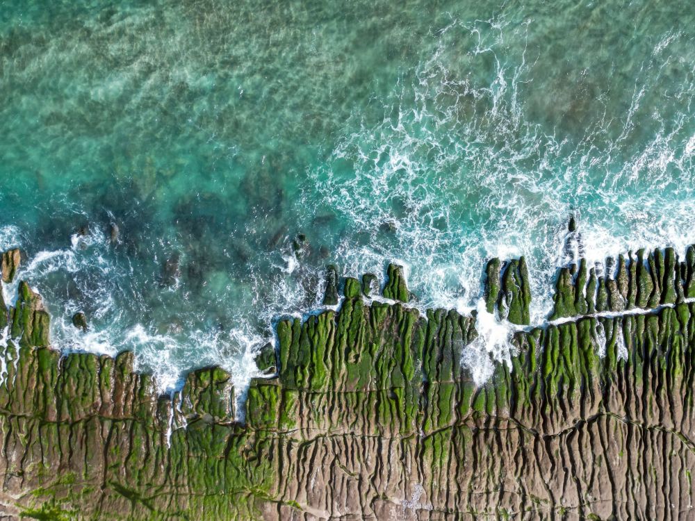 高雄旅展5/9登場 新北館母親節優惠為雙北世壯運熱身 3 《圖說》季節限定的老梅綠石槽把石門海岸染成鮮綠的春天色彩。〈觀旅局提供〉