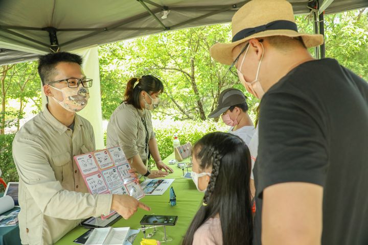 「愛情花季尋寶 鷲在內雙溪」熱情開跑!淡紫百子蓮浪漫綻放