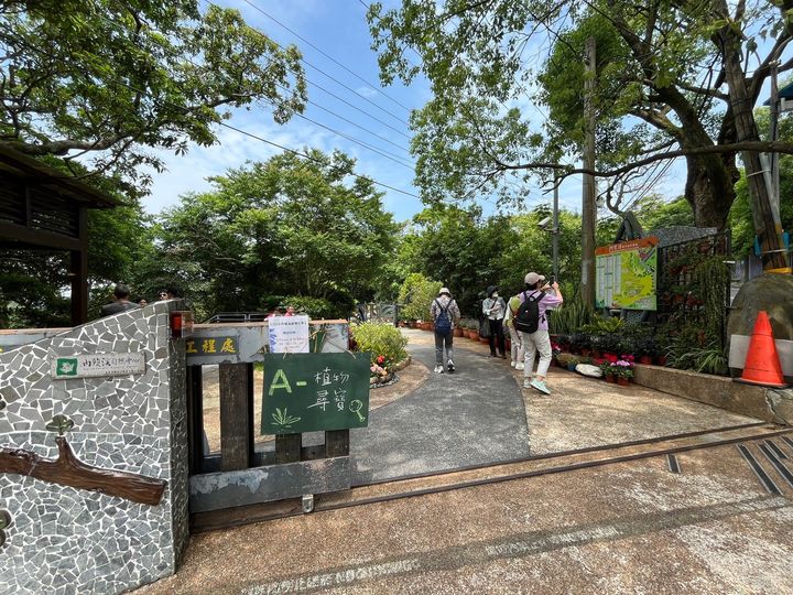 「愛情花季尋寶 鷲在內雙溪」熱情開跑!淡紫百子蓮浪漫綻放