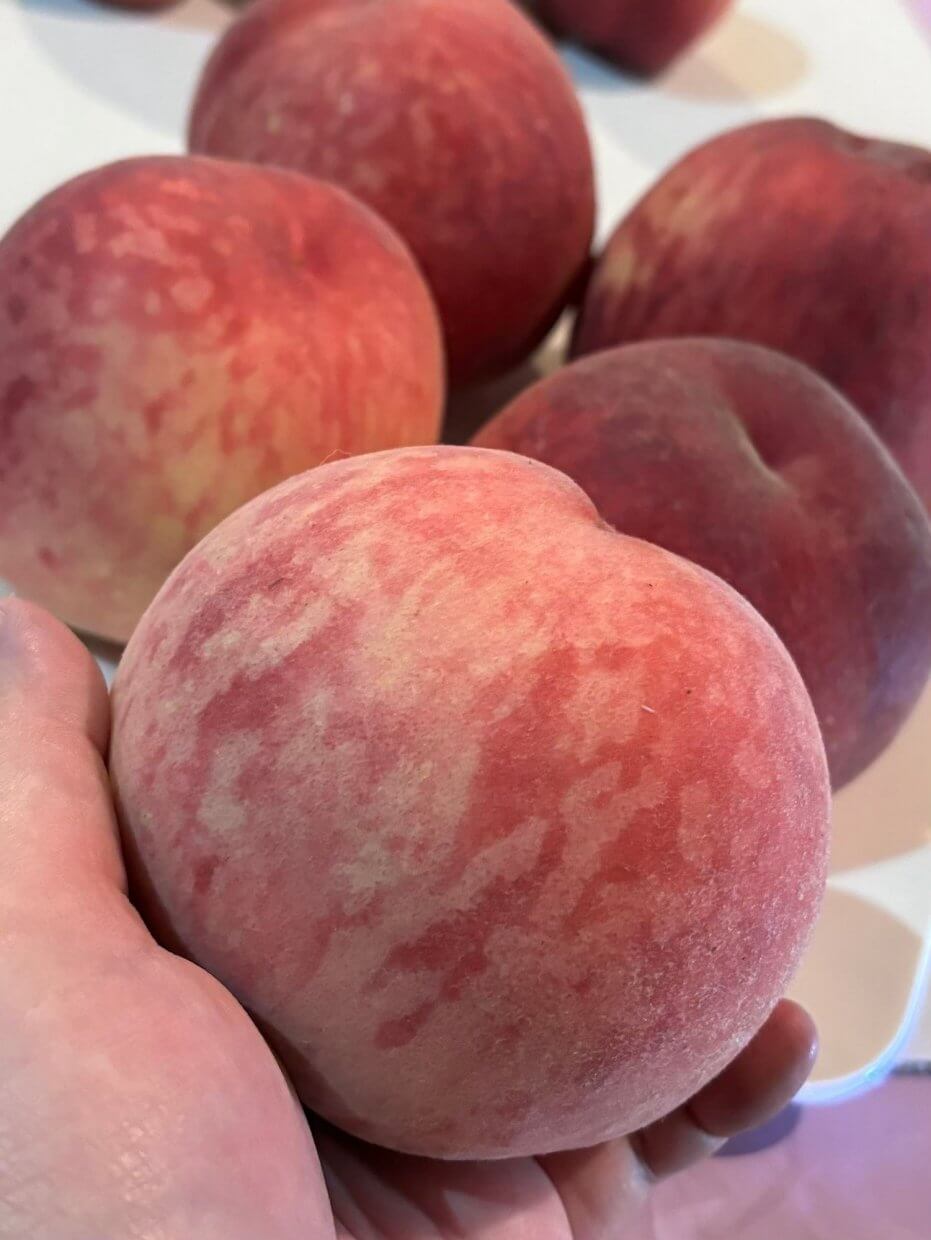 奧丁丁東勢大雪山紅鈴水蜜桃(圖/奧丁丁市集)