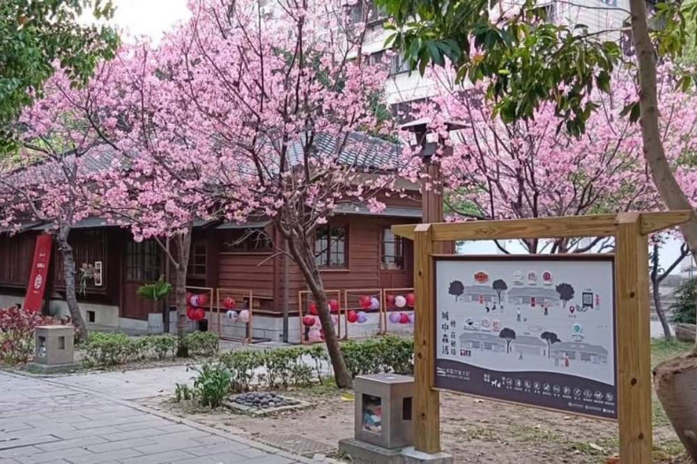 打造兒童「蔬」適圈　華藏淨宗弘化基金會蔬食市集6月登場 219