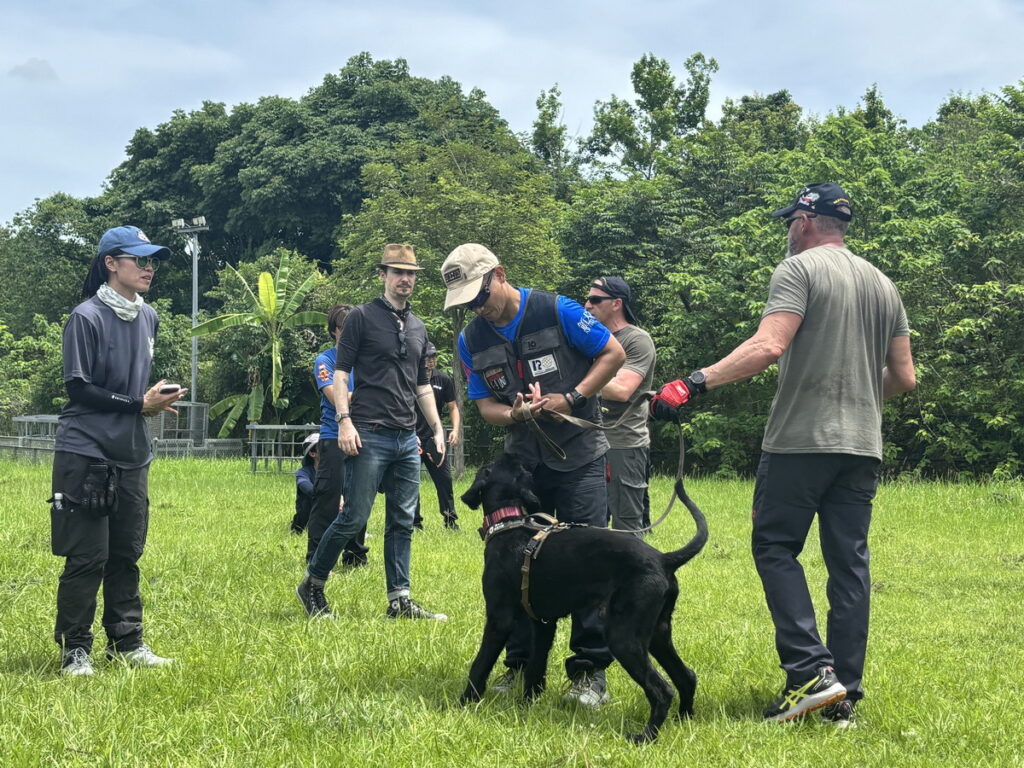 各縣市領犬員與搜救犬頂著豔陽進行高強度的訓練，為未來的救援任務做好充分準備！（圖／汪喵星球提供）