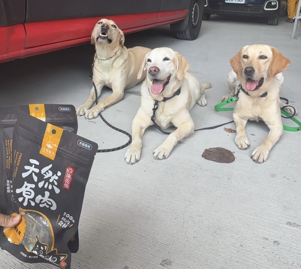 汪喵星球的物資贊助攤位，讓Tyfd-K9桃園搜救犬隊的搜救犬Emma忍不住跳上來，和毛英雄們一起分享補給！（圖／汪喵星球提供）