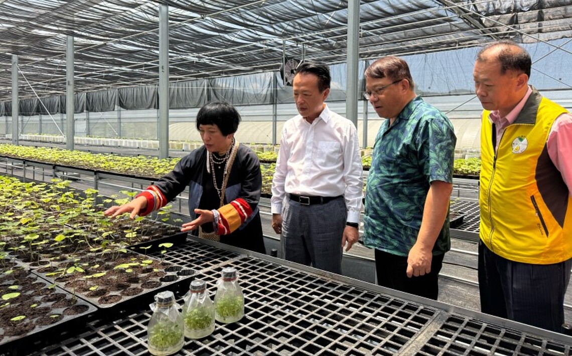 杜張梅莊副主委出席「阿里山山葵育苗智能溫室」啟用記者會 期許阿里山山葵產業更上一層樓