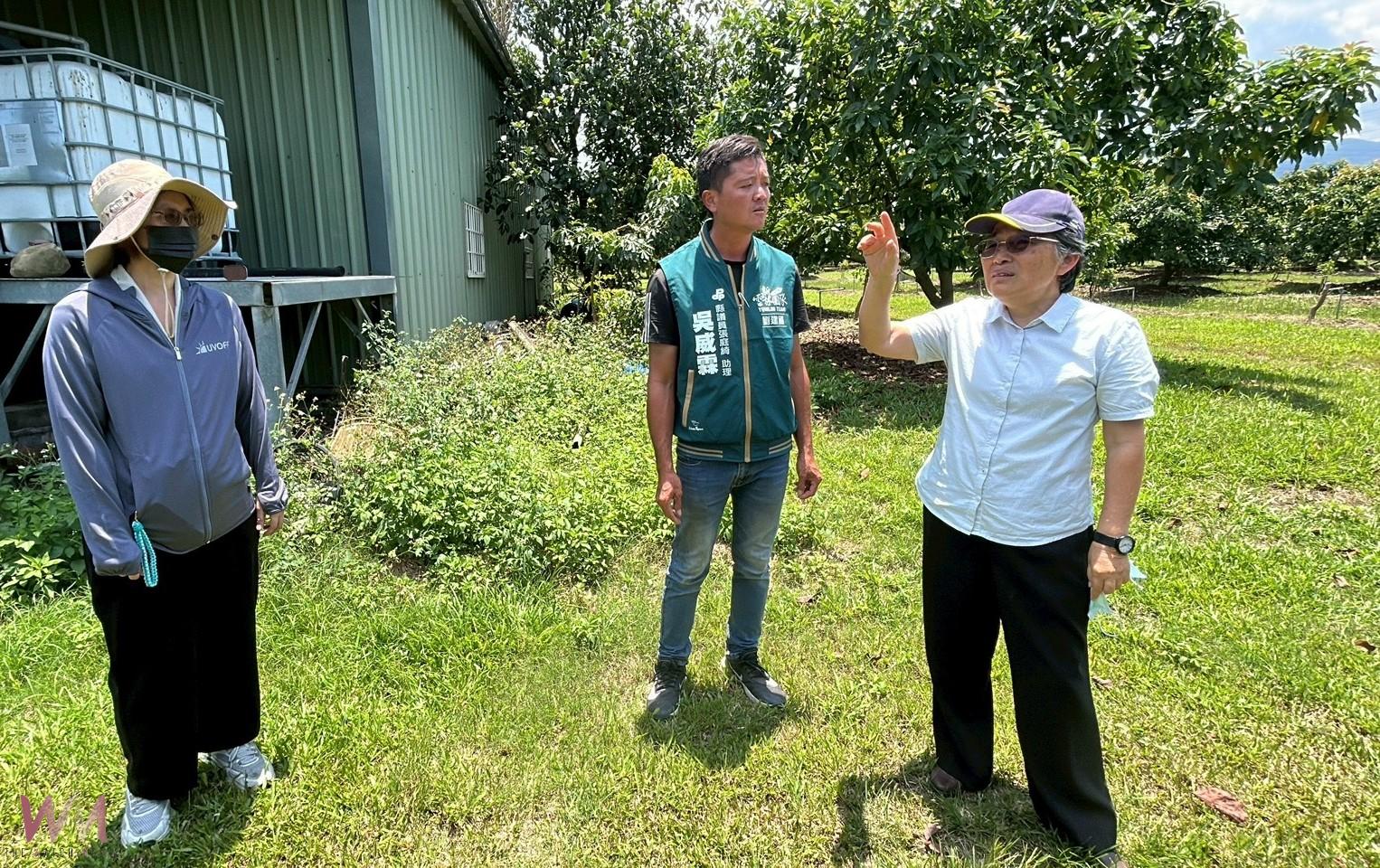 古坑荔枝遭遇低溫襲擊災損 劉建國籲請農業部啟動補助 - https://www.watchmedia01.com