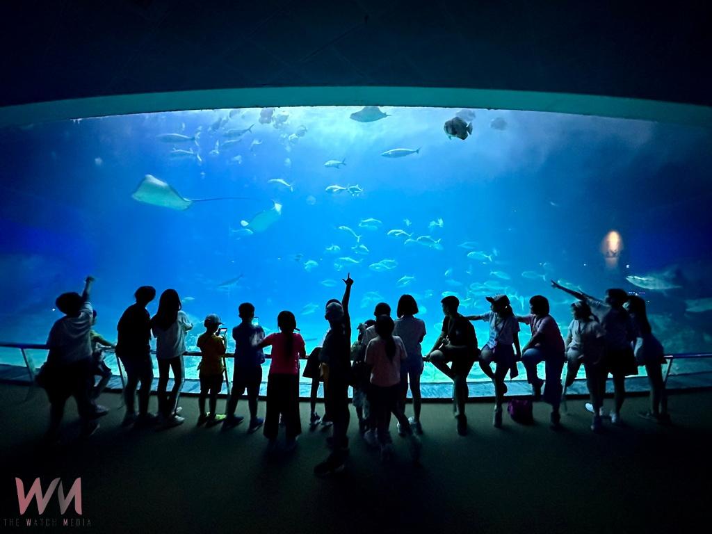 一到暑假就想到救國團 葛永光主任推薦暑假營隊彰化玩很大 - https://www.watchmedia01.com