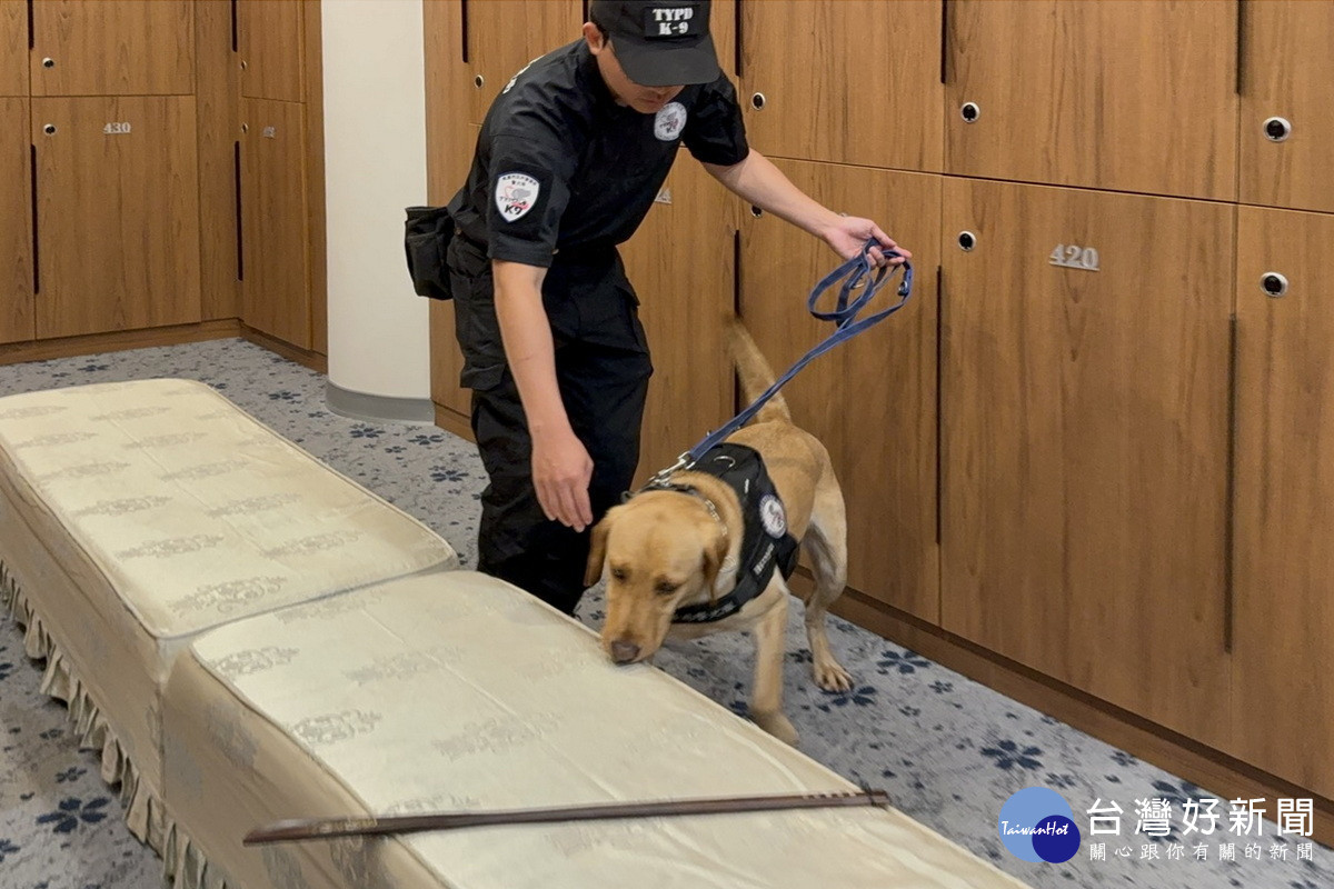 助世壯運高爾夫球安檢一臂之力,蘆竹警分局攜手警犬隊進行聯合安檢。