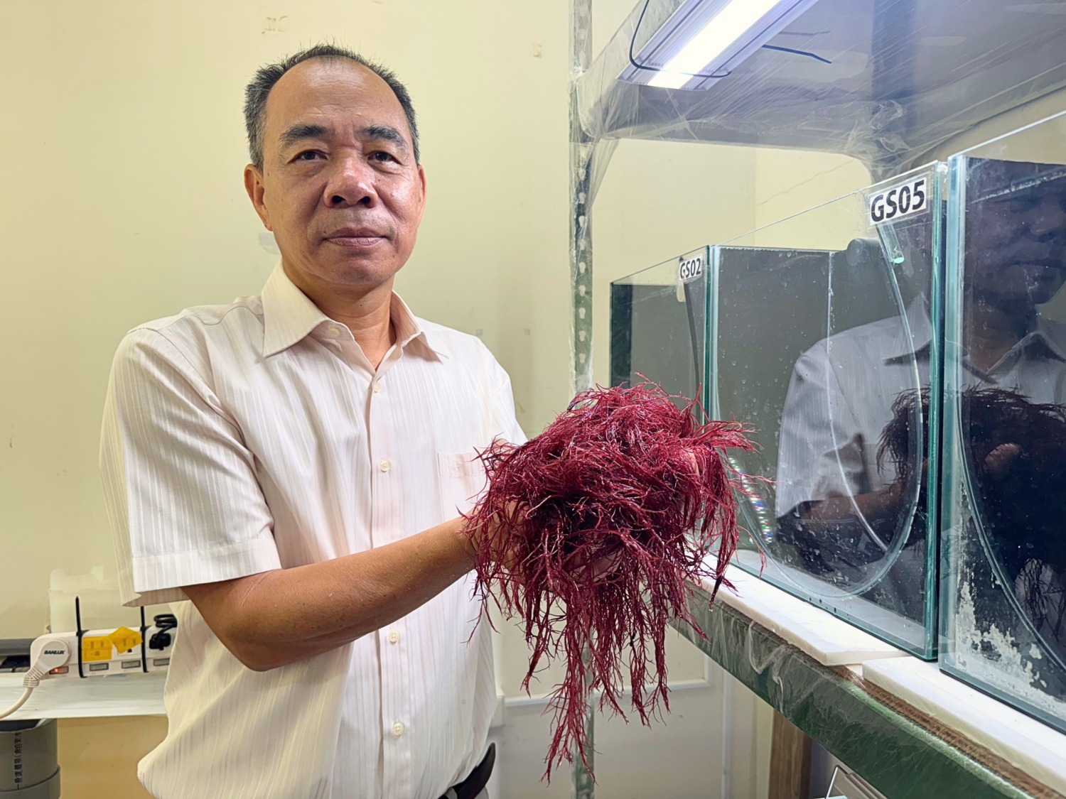 中山大學紅翎藻固碳研究 開創海水結合畜牧廢水養殖新路徑
