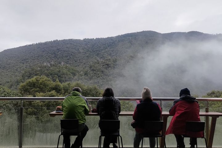 巨木陪你一起聽音樂 拉拉山巨木音樂會揭開旅遊序幕