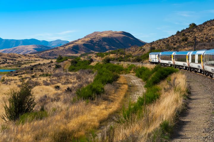 搭乘阿爾卑斯山號高山景觀火車精華段,盡覽紐西蘭當地美好風光。 圖:shutterstock/來源