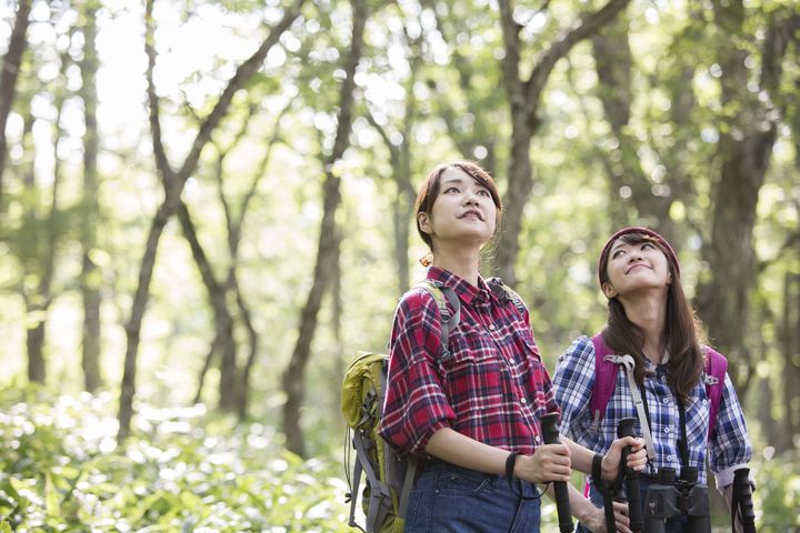 全台獨家!「森林療癒師」設計 限量森林x溫泉紀行:身心靈森.深呼吸之旅