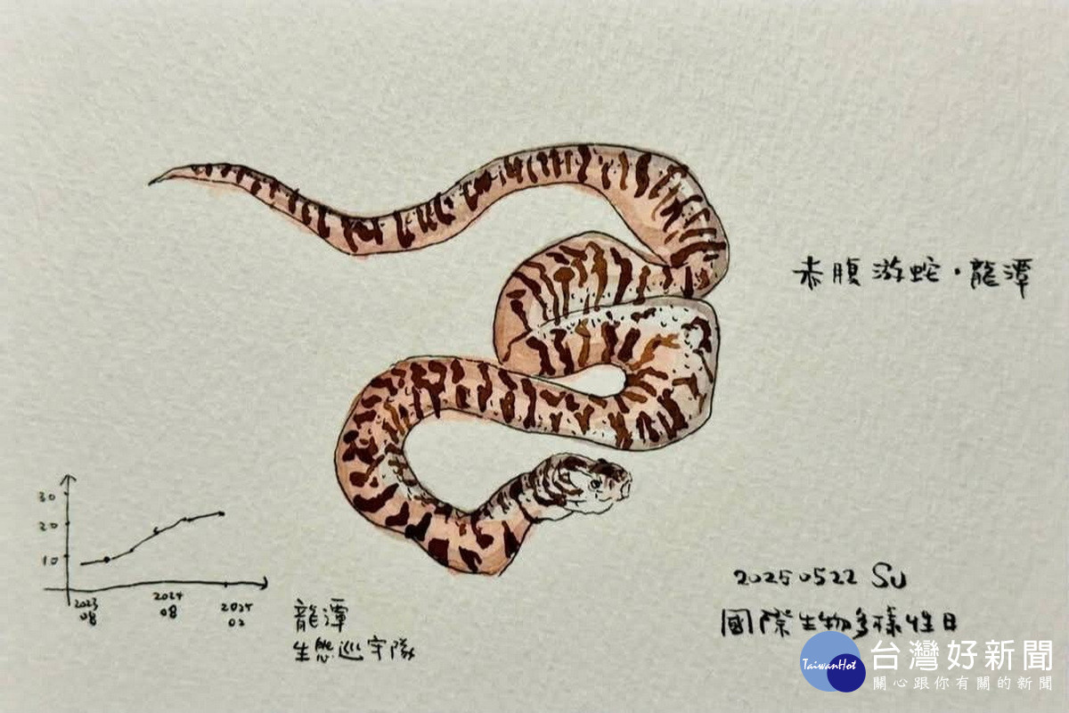桃園市副市長蘇俊賓手繪生態插圖向志工致敬。<br /><br /> 