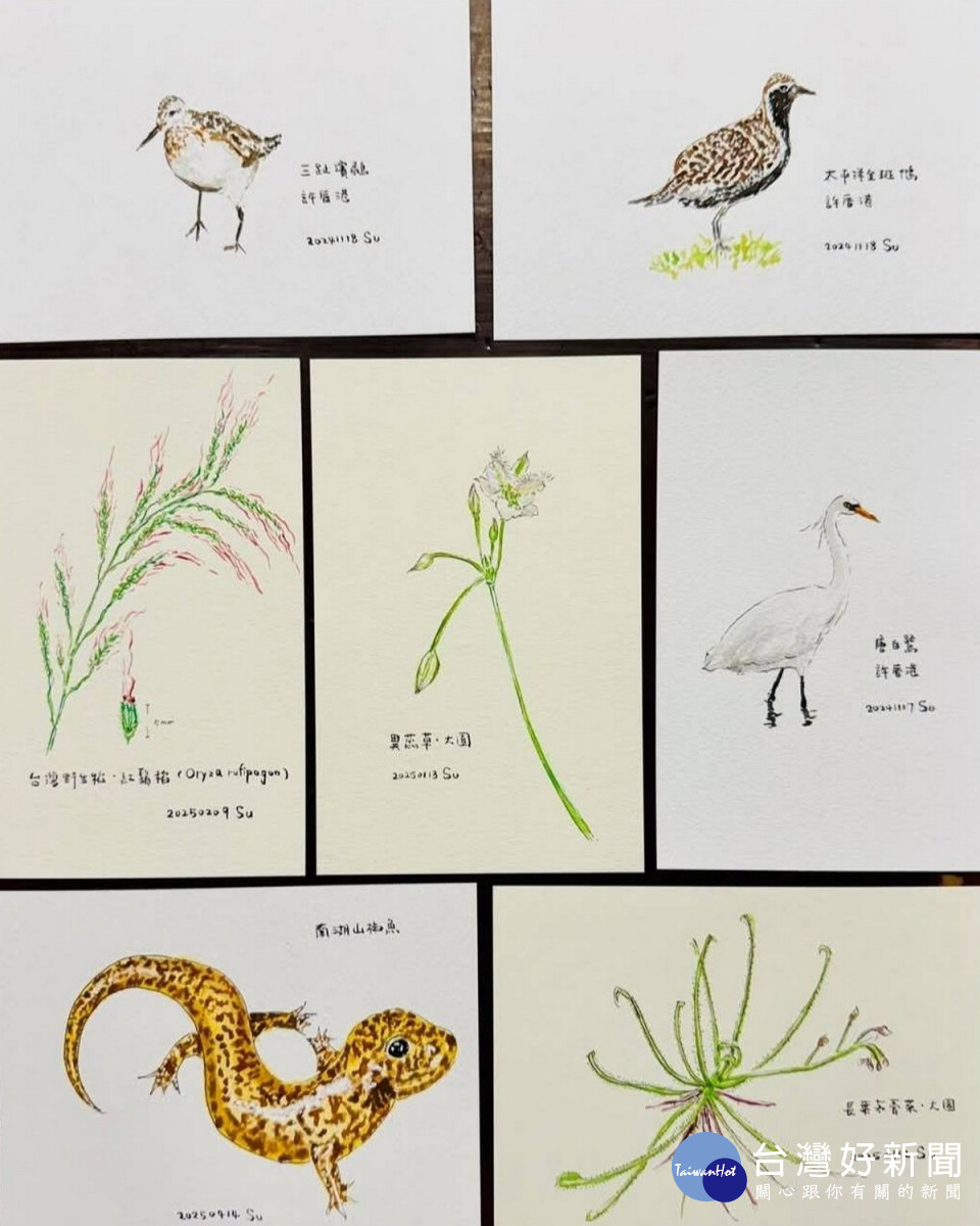 桃園市副市長蘇俊賓手繪生態插圖向志工致敬。<br /><br /> 