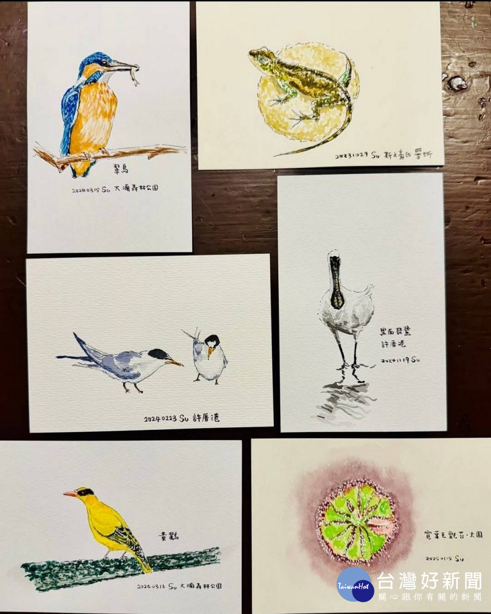 桃園市副市長蘇俊賓手繪生態插圖向志工致敬。<br /><br /> 