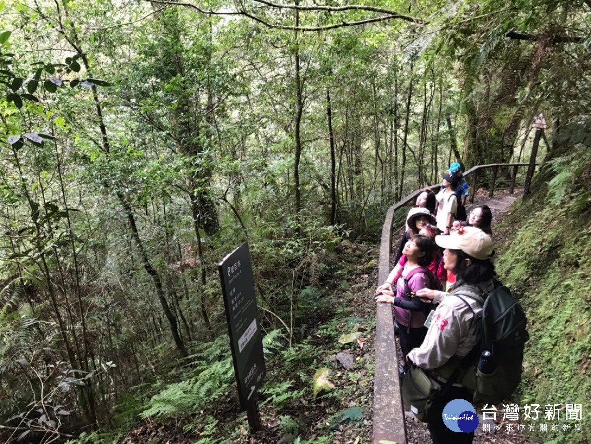 探索北橫出發,三大主題遊程等你玩,再抽桃園住宿大獎!