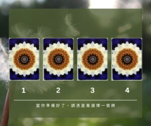 【Angela 共鳴的藍鷹占卜專欄】🌿 小滿心理測驗 11 500007484 1280851490716350 4170472738141242742 n