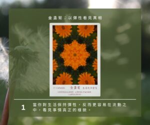 【Angela 共鳴的藍鷹占卜專欄】🌿 小滿心理測驗 13 499975046 1281618513972981 8315914234968834314 n
