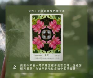 【Angela 共鳴的藍鷹占卜專欄】🌿 小滿心理測驗 15 499947250 1281618603972972 3503582666808977169 n