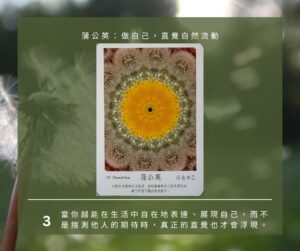 【Angela 共鳴的藍鷹占卜專欄】🌿 小滿心理測驗 17 499315798 1281618670639632 4828996983692846585 n