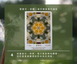 【Angela 共鳴的藍鷹占卜專欄】🌿 小滿心理測驗 19 499552494 1281618757306290 7133341876977807734 n