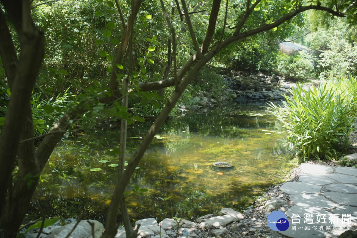 台積電中科廠區生態池作為巴氏銀鮈域外庇護備援棲所。