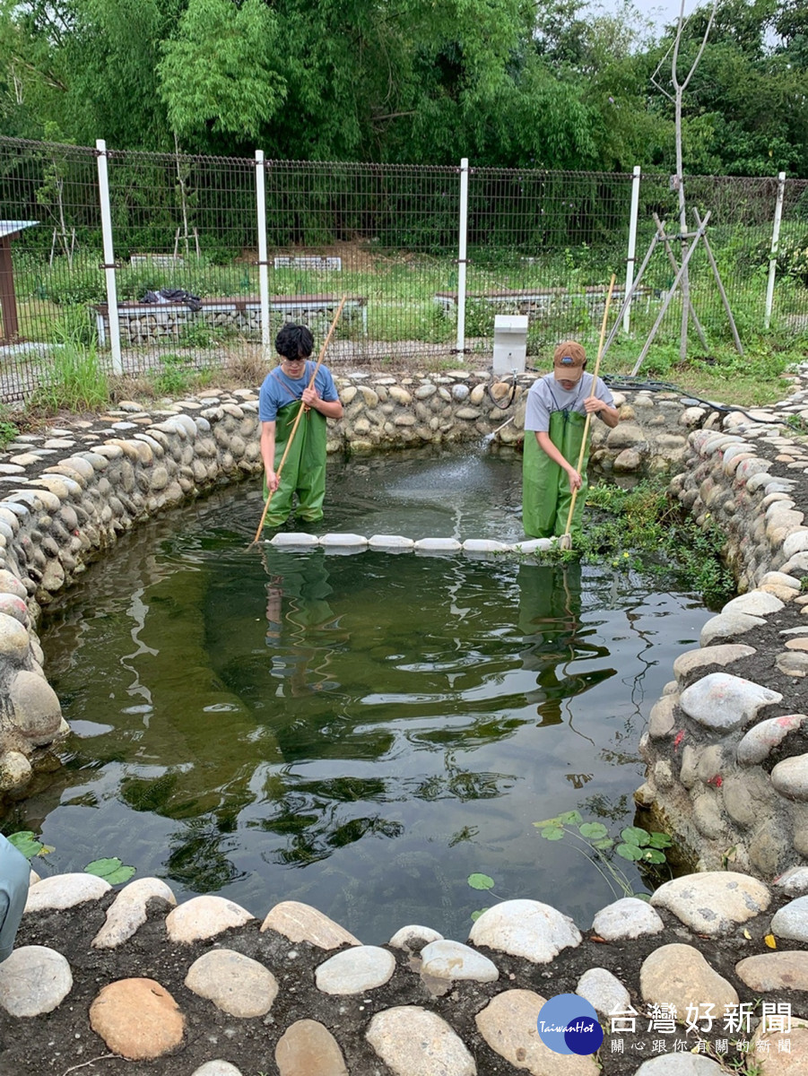 轉移大里旱溪庇護池之巴氏銀鮈進行分散庇護,確保回放族群數量穩定。